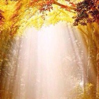 887e2488a37e18fb5289aa97e5845e0d4ef5aee8