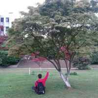 96d28f126a68feda6c75977eeeccd2612656be6a