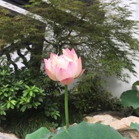 10dc633101209dd8a81c8a5de2b91203ab8b1938