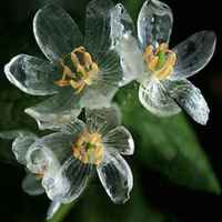 8b1b411532aff6a9aef9e9bebd2ce3209b9dfb62