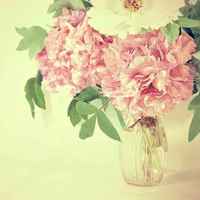 6b4148b3f095e655fdb8afeae9f2818c126f0783