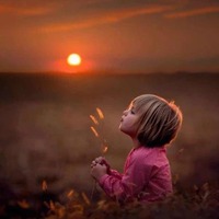 94e82bd3ae7687dbba2cf6d3a3d7e9c3ec2180e9