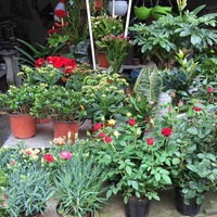 242b73476840ac2d766e8fdbe47b66af58a4c9a0