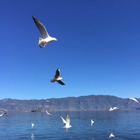 925d256a0bced24531944450df538075a7dd3c1f