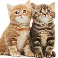 62dcb60eb0e07cda62672fd01a9bef25c2d74118