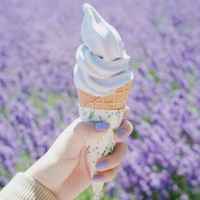 E2f2f637bfd28008f1683be55092f87d1f369d42