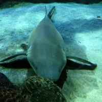 C55e35d30e57d20ad30d0388788fb2bc786c8210