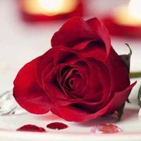 605865cb4ff0f78548c8887c80eb5e70d376c150