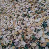 F3abef382f3ad8129888399727ffd213b429b67a