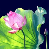 93117f5e2a78d3107c833a3069680fce7cd19f5e