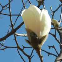 E01b917adf516d039821eaaec69214b202f42eac