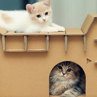 56486a1cba44beb0bfcc2288f7afbd8e378df6d4