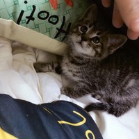 2815de6116e67f9bdf2c8e03d78e53653299af83