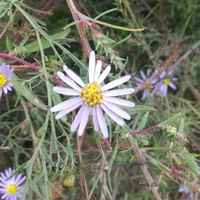 05fd228d689e8dc8185ca06d045e4ff47c56ec9c