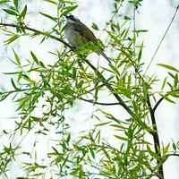 6c039d4fca2254b086b3e7426bc597a0e8ca504c