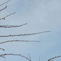 97c3a0b912b21cb4f63d2c4484a1a4c534204dd3