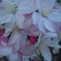 22854467512f4543ca6cccd6a1b1e387fd002b7b