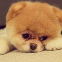 08381d845d0a1958b036813343d583f32f90918d