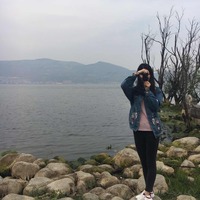 D57300f3bd9c2394610d44f5d5029e80e2f9bdc8