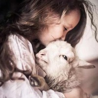 402c7cf00440765bcd695dd0267c939ff8a63cf4