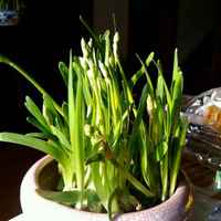 B92157027dbc4a4318d64202331e98db4be89b99