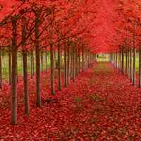 Cceb27b13597280bb92d28375ff549318478e100