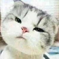 6b0186bd7409010663388f6b2f277bcab5b73c05