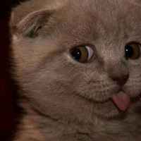 6178ada2d033fd35881a19e9fbd21e8057eae660