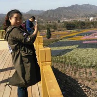 323f2dd8e2e1158f3961a07d4bf80a906795f2f8