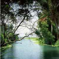 979b1eaa87d777acd2f370eec60efcfa626a5a20