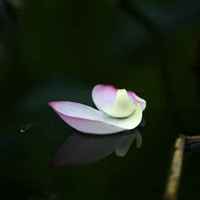 9300e37b951556d383178c3404b3ff02e4cfd79c