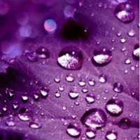 7055f873166bcf281e49f9f964f6db9709282a73