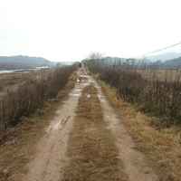 41e8a56eab487e95e70e5e85be42204e75645a71