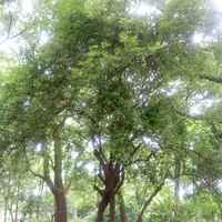 0144809e6cf9fee882bc78e411bcd9fa691eb92a