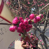 Eefdca86f874880b280d480cbf85689669c230f6