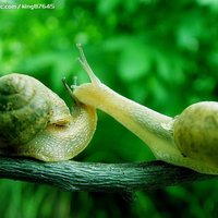 Cd85d5c7b3c78faf09b3af776a699e1772d6fd6b