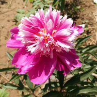 Bd963856f3d9bde7cf92728af46fd1f28ea9cbd5