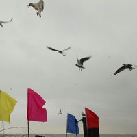 C06f82cb98d6303da9d2d5f7afd8dd99b20b6295