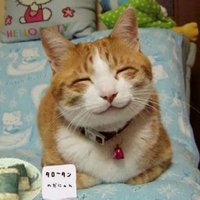 8634209117a53aa0d5a571e0f9c727e31178a1b1