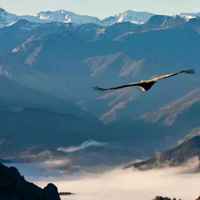 C0ea4f4611bfab23b9cdedddc5657b6145419076