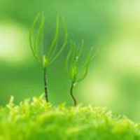 718ae10e2ccffb0f5d903604a930de18a39a5b84