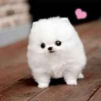 D394b047ba6c1e0ae74d9c8047a12c2f9d5bc7f5