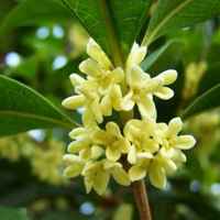 Dbebd10e6e1cb17ff84a87d0db47fb06875d84eb