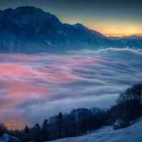 D926ed60c17e43acb9d535b68544359cdfcca12a