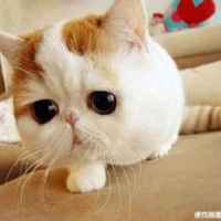 0606bf869586be1a59cb8d731b5538b4416aad95