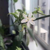 A8418e978cf9e4965458baa9be972bd7d307f457