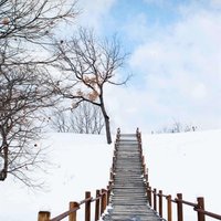 707d44085e8d77ee5bdc607b5e4c10b6b997e1d5