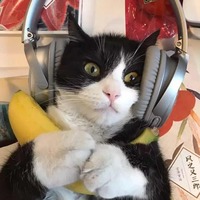 Fe4bdcd22cc38ae92eab4126ed9eadaa76e9eae4