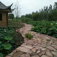 85ecac0bed3a0f2a761de21ea93d9fafb93984ed