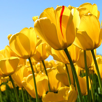 2e12fed9eeef7dab4944fa07b338cdb7b0d068ad